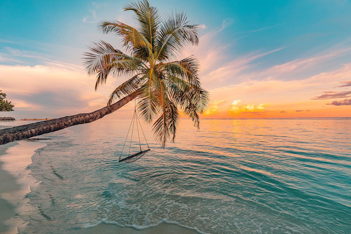 Bahamas-Tropical-sunset-beach-background-as-summer-landscape-panorama-with-beach-swing-or-hammock-and-white-sand-and-calm-sea-beach-banner